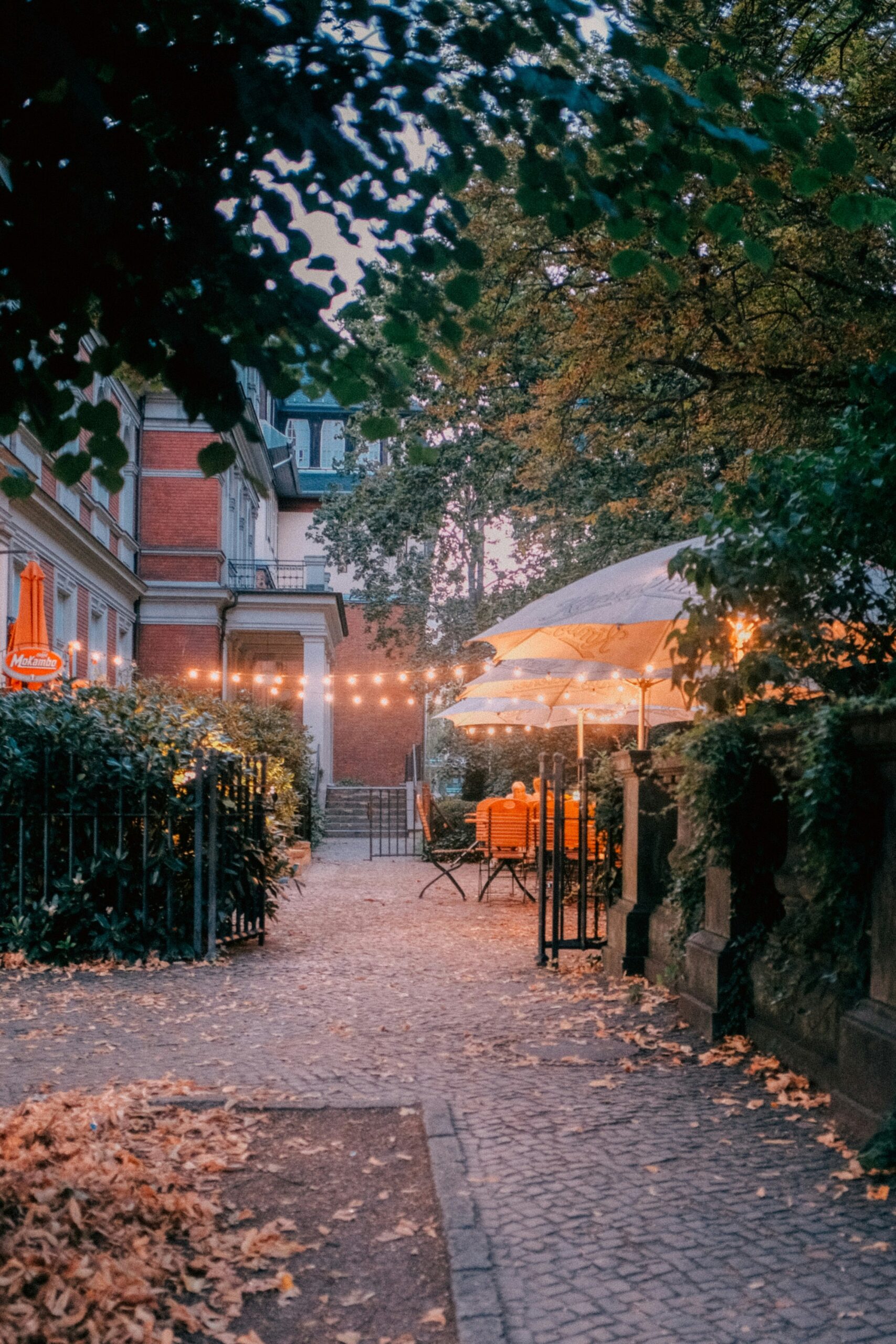Autumn Food in Paris – Seasonal Dishes and Where to Try Them
