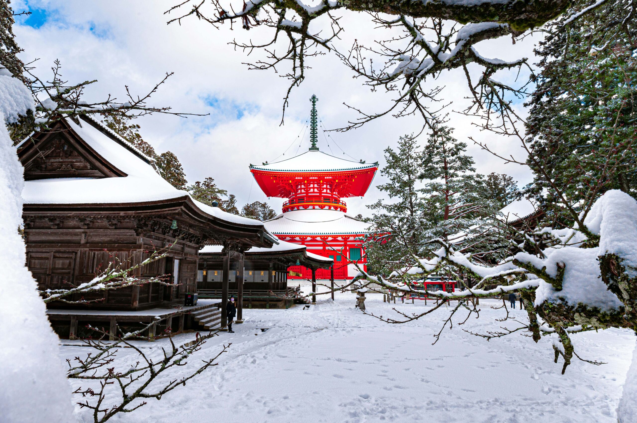 Tokyo in Winter: Lights, Onsen Escapes, and New Year Traditions