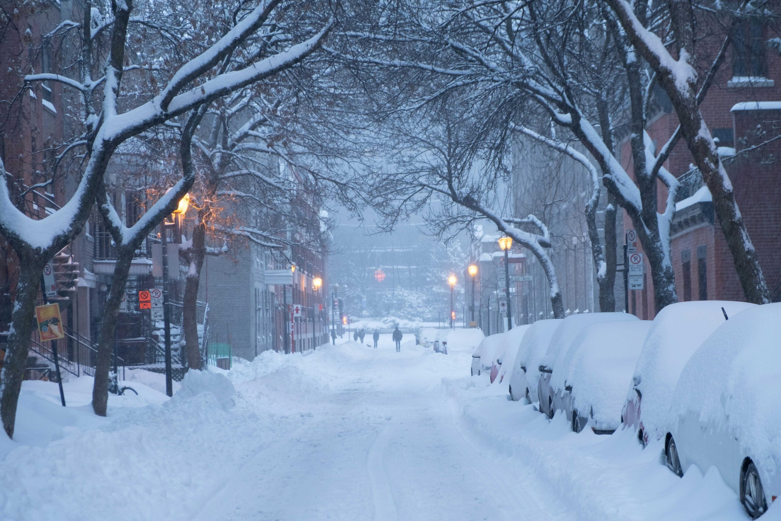 Winter Magic in Québec: Snow, Lights, and Old-World Charm